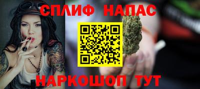 Альфа ПВП Можга