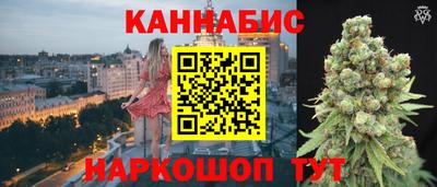 Альфа ПВП Можга