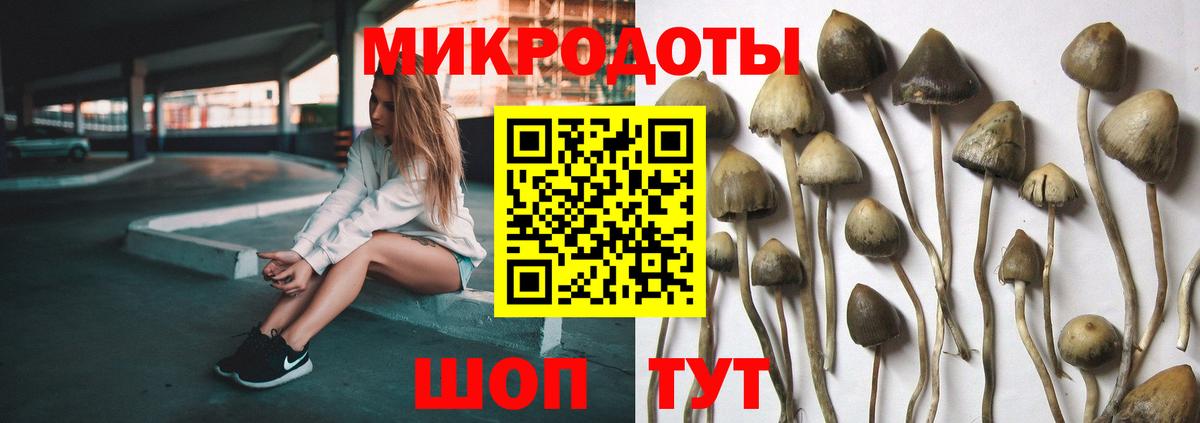 купить наркоту  Вход с VPN  Уварово  Галлюциногенные грибы Psilocybe 